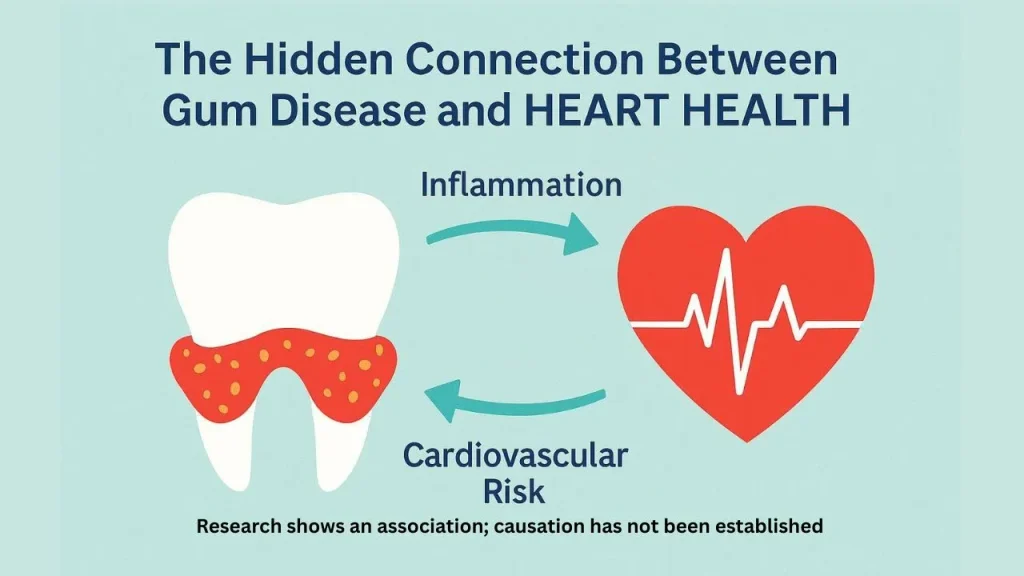 Medical illustration showing teeth and gums alongside the human heart to represent the connection between oral and heart health